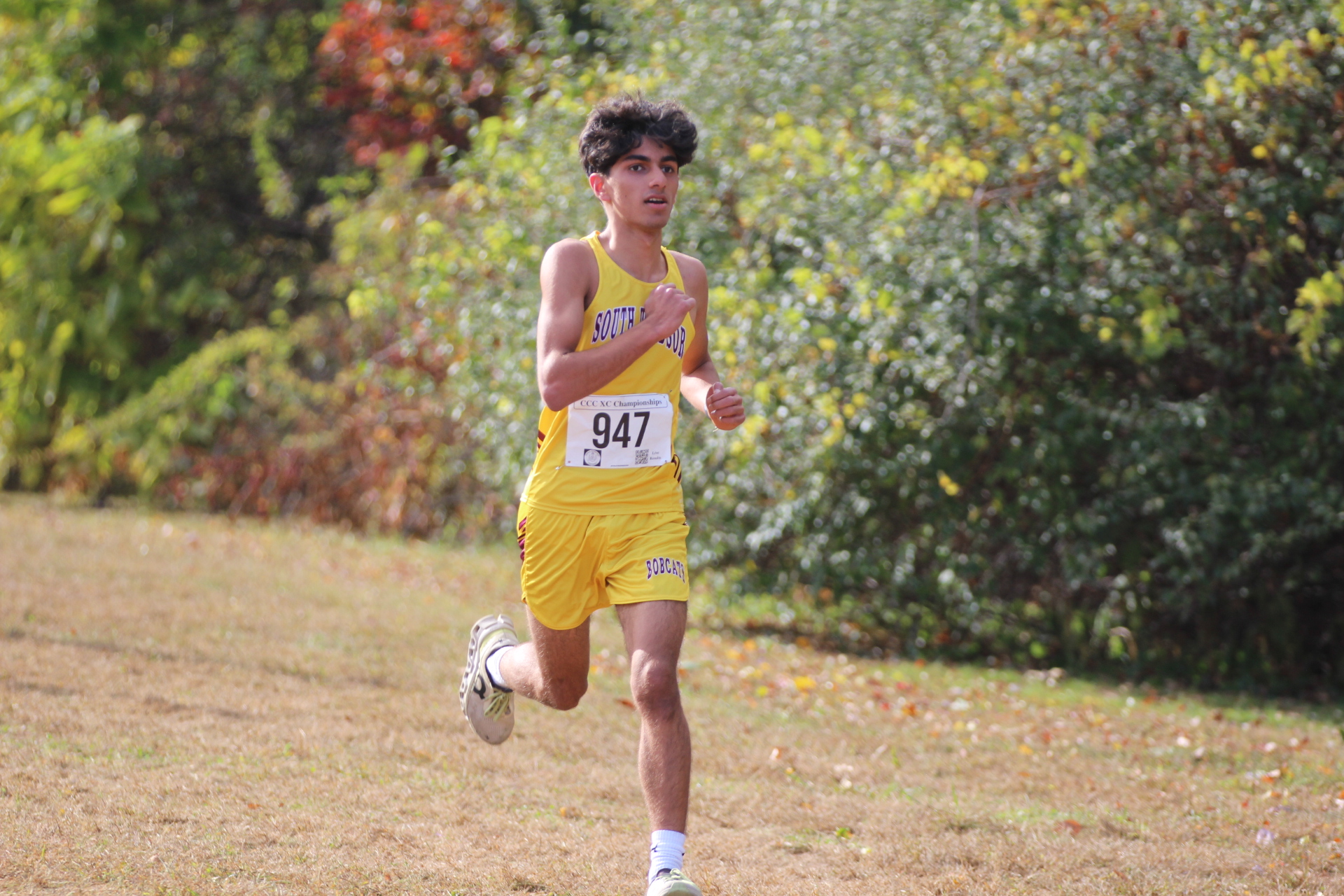 Image of Aarish Kodnaney making a weird face in his car. You can see two garage openers at the top.